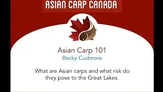 Asian Carp 101: Becky Cudmore