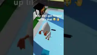 #spiderduck