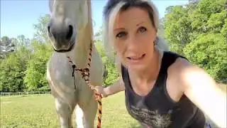 How to know if your horse being Pushy or Disrespectful of You.