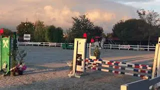 Hamza Tak & Cooper 29.10.2017 İzmir Cumhuriyet Kupası Yarışları (95 cm)