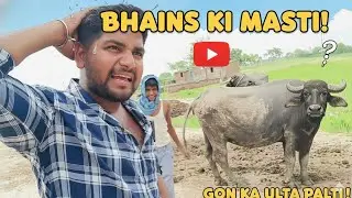 #video कक्का खरीदें भैंस | Kaka Buy Buffalo | funny video 😂 ! Aman Funtube05 | #comedy #viralvideo 