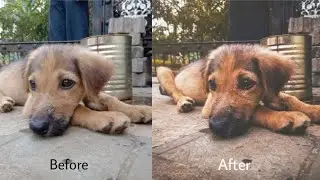 01 - How to edit FADED BROWN image | lightroom | Snapseed | lens distortions