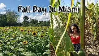 Vlog #1 A Fall Day In Miami | The Berry Farm | Pumpkin Patch | Sunflower Fields