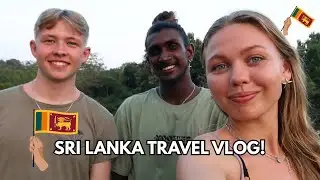 SRI LANKA TRAVEL VLOG! 🇱🇰 Yala safari, exploring Sigiriya & hotel recommendations
