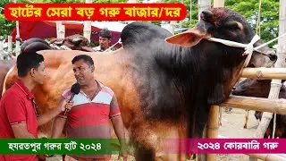 2024 ঈদ ধামাকা ! কোরবানি উপযোগী সুঠামদেহের বড় বড় গরুর বাজার/দর || 2024 গরুর হাট || কৃষি ঘর