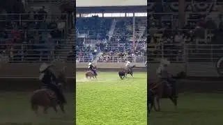 Pendleton Oregon rodeo short round