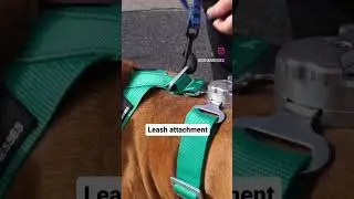 leash attachment #dogharness #dogleash #petharness