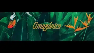 Welcome to Amaz&oacute;nico Miami