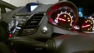 Fiesta ST - Love thy Beast