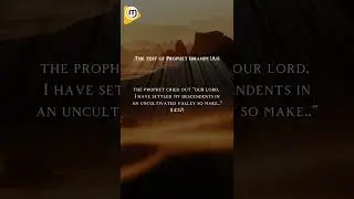 Islamic Short Stories #02 Heart Comfort #islamicstories