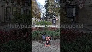 Чебурашки 