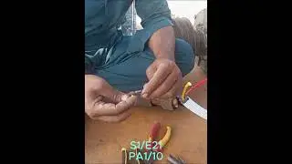 S1E21 | Electrical Panel Motor Wiring On Site