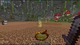 German TL NethPot Uncut HT3 Passed VS. coulibs | 4 - 0