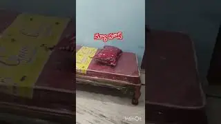 న్యూ హౌస్