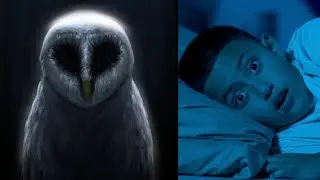 THE OWL  |  SHORT HORROR FILM
