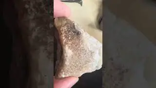 Mozambique agate and Mexican lace agate ready for cutting.