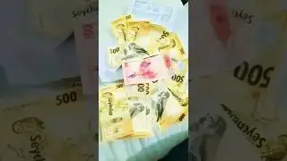 Salary in Seychelles Currency 💲#ytshorts #shorts #viralreels #trending #reels #seychelles Syed Shan