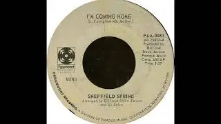 I'm Coming Home - The Sheffield Spring