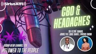 Dr  Herv&eacute; Damas on CBD & Headaches