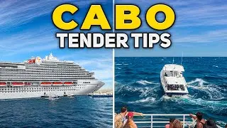 Cabo Tenders | Cruise Tips & Important Info For Using Them