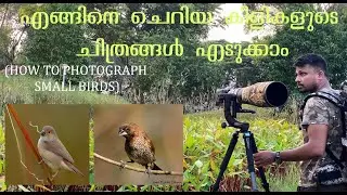 For beginners Tutorial -How to photograph small birds easily.ചെറിയ പക്ഷികളെ എങ്ങനെ ഫോട്ടോ എടുക്കാം.