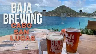 Baja Brewing in Cabo San Lucas- The Best View from a Brewery I've Ever Seen!