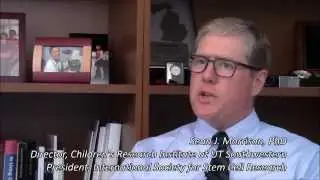 Sean J  Morrison, ISSCR President