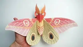 Create 3D Moth Paper Craft in MINUTES