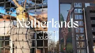 The Netherlands Vlog - Day 2 | #fun #travel #netherlands #winter #solo #trip #uk #europetravel #vlog