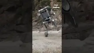 A Sporty, Wheeled Robot Dog #technology