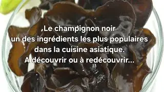 🍄 Le champignon noir 🍄