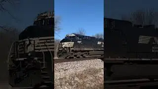 NS & BNSF With Horn Heading South #trains #shorts #ns #railfans #tracks #railfanning #railfan #bnsf