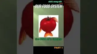 What's wrong with our food system? #learning #life #awareness #cancer #shorts #food #didyouknow
