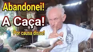 CA&Ccedil;A PREDAT&Oacute;RIA! MOTIVOS PARA ABANDONAR!