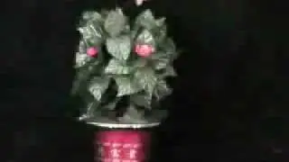 Blooming Flower Bush - Remote Control