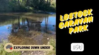 Lostock Caravan Park | Discover the Hidden Gem near Gresford, NSW | Travel | Caravaning | Camping