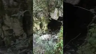 Фуэнте дель Франсес, 39716 Энтрамбасагуас, Кантабрия, Испания