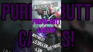 How to farm Ueymag