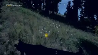 MDTG Plays FarCry 5