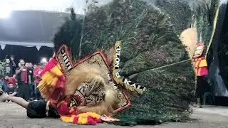 TARI REOG PALING SEREM PEMBARONG NGAMUK DADAK MERAK TERBESAR
