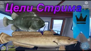 В поиске Трофа! Розыгрыши ! Подарки для зрителей !
