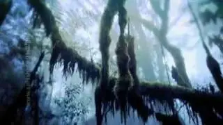 Motivational Film - Air Liquide