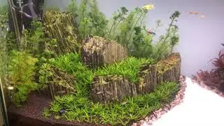 High-tech plant 100x50x50
