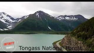 Tongass National Forest one of the rainforests in the world.Travels with me.