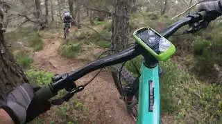 Final Destination