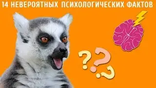 14 психологических фактов, которые изменят твою жизнь