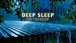 Heavy Rain on Tin Roof for Deep Sleep 🌧️ Sleep Instantly (1 Hour) Thunder & Rain Sounds