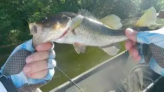 Part 2 Fishing A 25 Acre Pond/Lake In Burke County Georgia