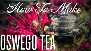 How To Make Oswego Tea - FROM GARDEN TO TABLE!