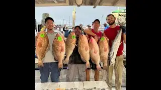 44hr catch, updates & LIVE show tonight! |  